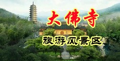 91中文字在线人人手机播放中国浙江-新昌大佛寺旅游风景区
